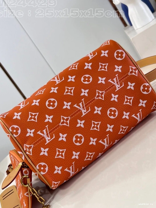 WIS Louis SPEEDY 25 Vuitton 1031